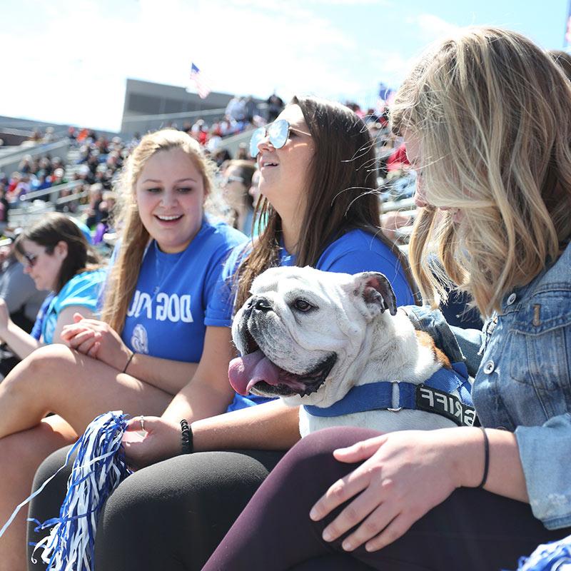 Three Drake University students sitting next to eachother with Griff the Bulldog in bleachers outside during a Drake sporting event